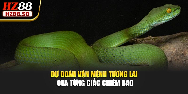 Dự đoán vận mệnh tương lai qua từng giấc chiêm bao