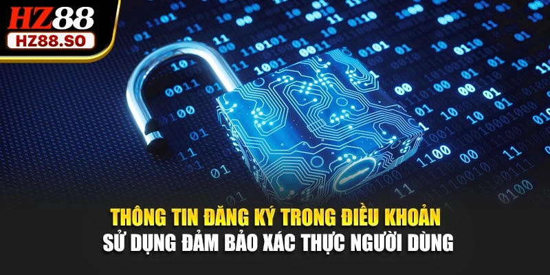 Thông tin đăng ký trong điều khoản sử dụng đảm bảo xác thực người dùng
